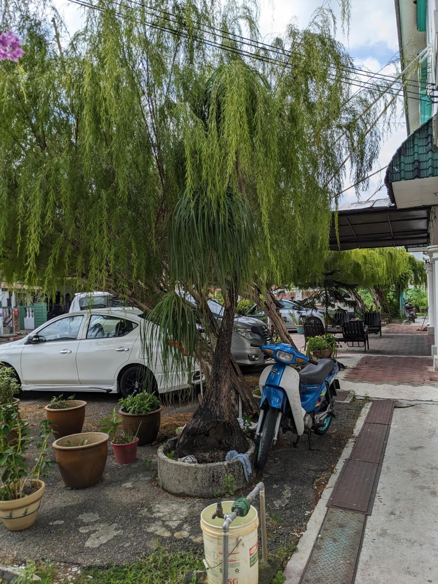 Ene Sri Cemerlang Kota Bharu Exterior photo